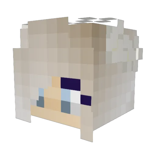 rastol Minecraft avatar head, 3D render