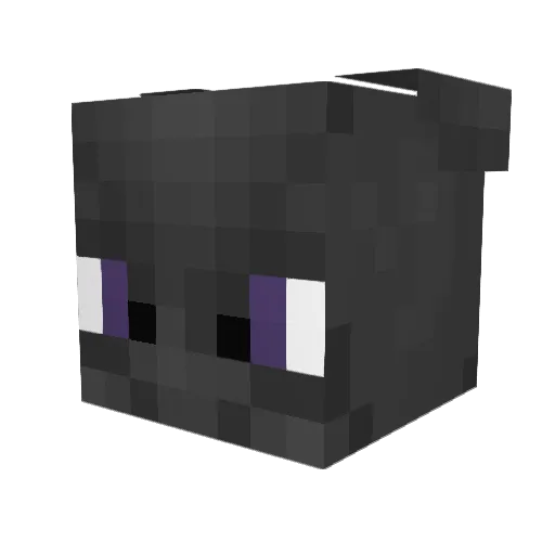 rastreroo Minecraft avatar head, 3D render