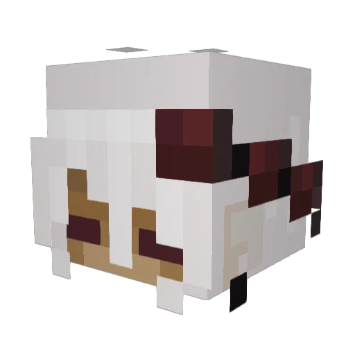rat4021 Minecraft avatar head, 3D render