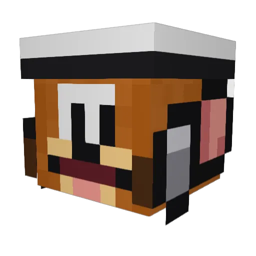 rat_Official__ Minecraft avatar head, 3D render