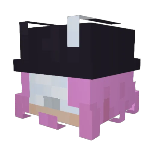 rat_master69 Minecraft avatar head, 3D render
