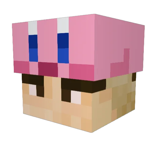 ratafoolie Minecraft avatar head, 3D render
