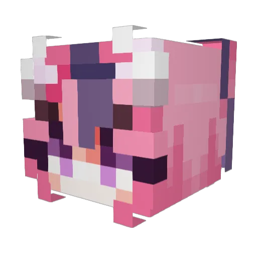 ratamiada325 Minecraft avatar head, 3D render