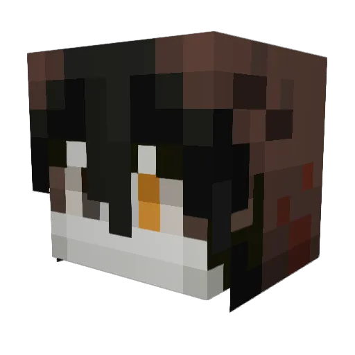 ratatu5654 Minecraft avatar head, 3D render