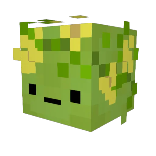 ratatujl Minecraft avatar head, 3D render