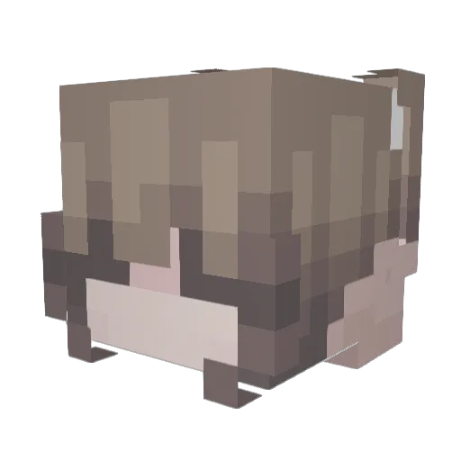 ratberryy Minecraft avatar head, 3D render