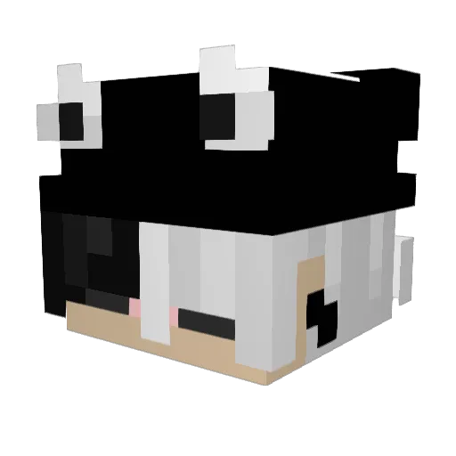 ratboi06 Minecraft avatar head, 3D render