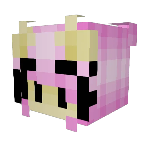 ratbooru Minecraft avatar head, 3D render