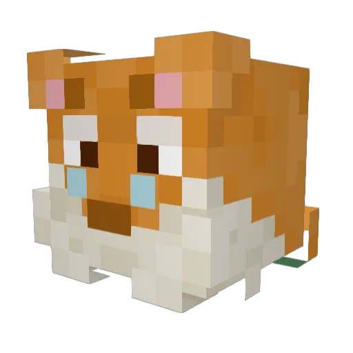 ratbud Minecraft avatar head, 3D render