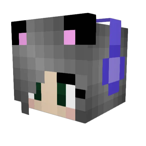 rate1116 Minecraft avatar head, 3D render