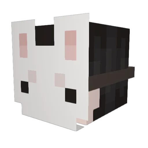 ratinasweater Minecraft avatar head, 3D render