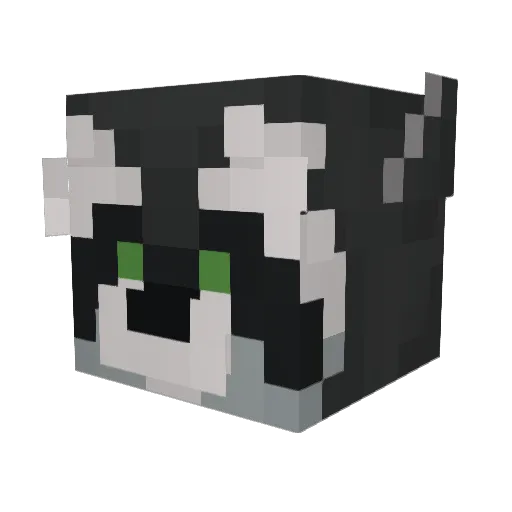 ratonsombres Minecraft avatar head, 3D render