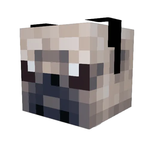 ratpack246 Minecraft avatar head, 3D render