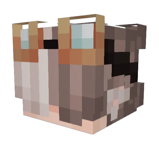 ratphony Minecraft avatar head, 3D render