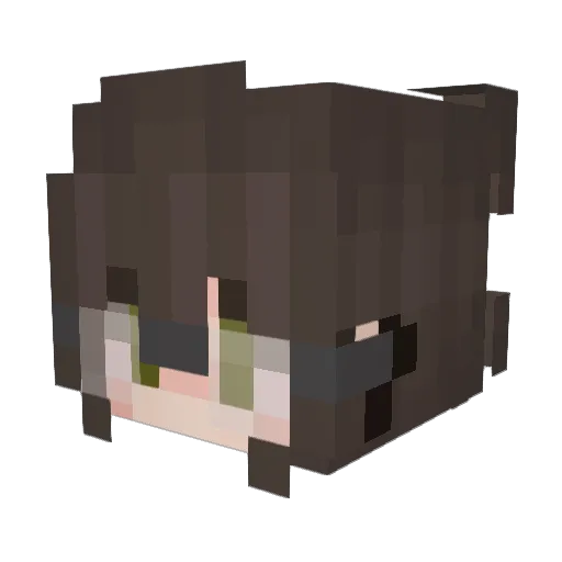 ratpossum9 Minecraft avatar head, 3D render