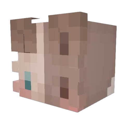 ratrascal Minecraft avatar head, 3D render