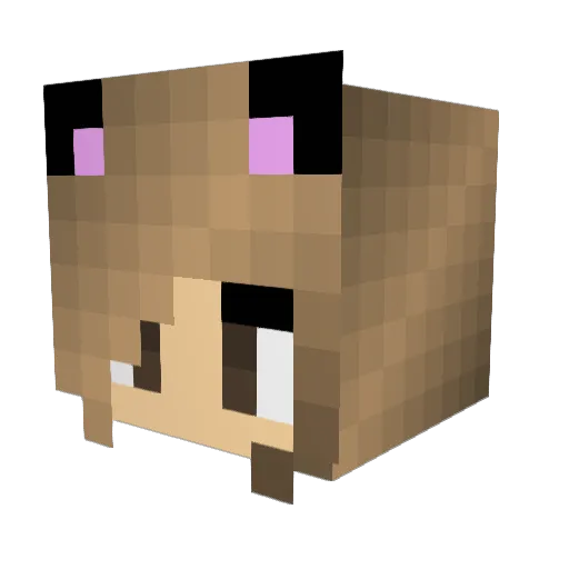 ratsab Minecraft avatar head, 3D render