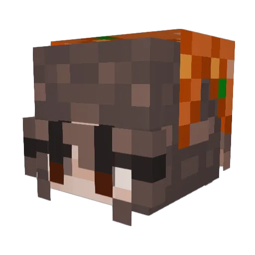 ratsmeek666 Minecraft avatar head, 3D render