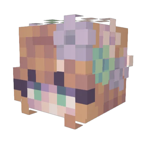 ratzlaff Minecraft avatar head, 3D render