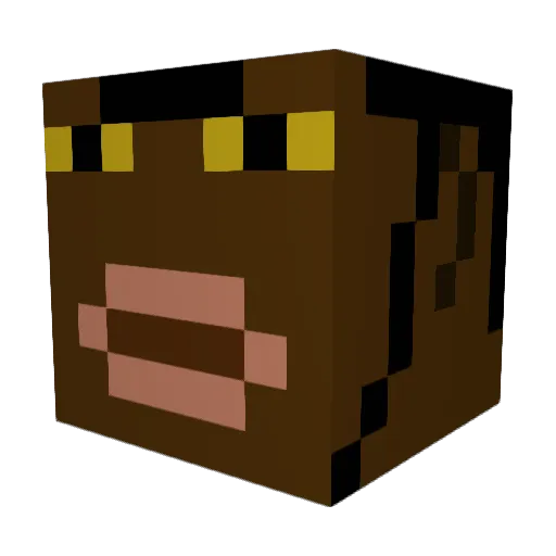 rauk0 Minecraft avatar head, 3D render