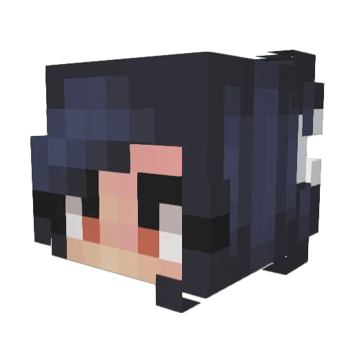 raulmohe Minecraft avatar head, 3D render