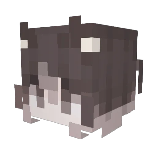 raulyw Minecraft avatar head, 3D render
