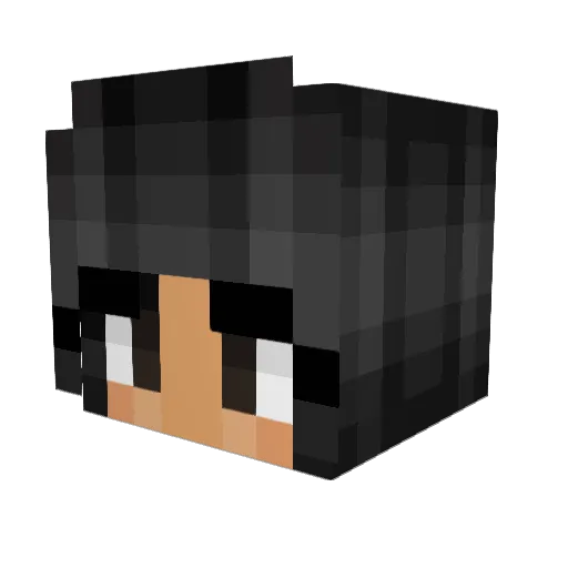 rauno__repomies Minecraft avatar head, 3D render