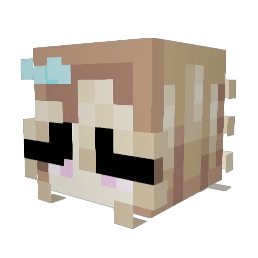 rauns20 Minecraft avatar head, 3D render