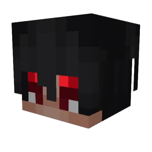 raupp666 Minecraft avatar head, 3D render