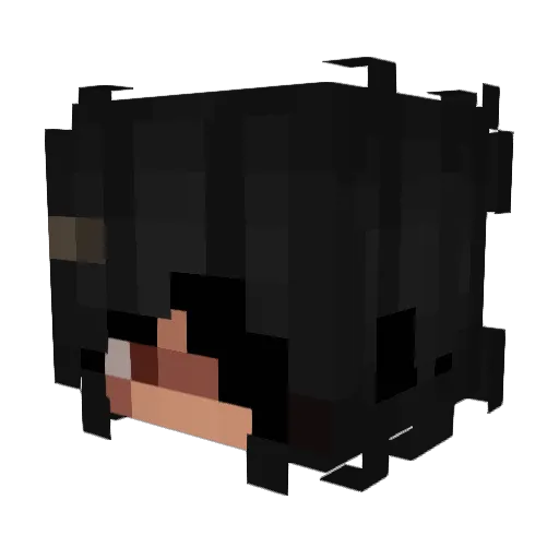 Minecraft-Avatar von rav_y: Kopf als 3D-Render