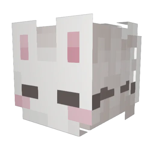 ravaoliii Minecraft avatar head, 3D render