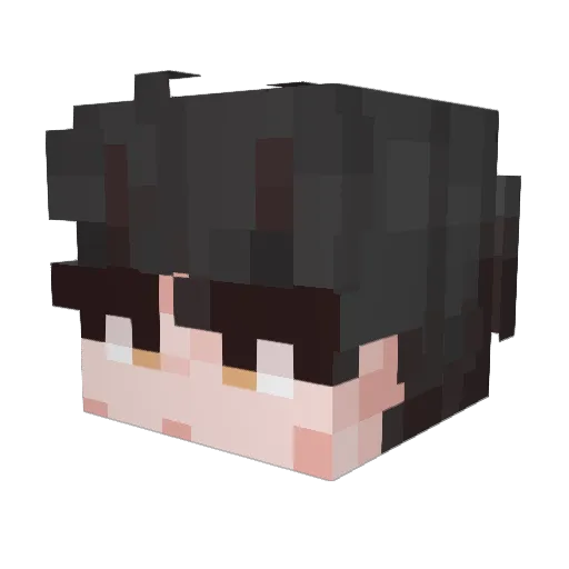 rave3634pca4 Minecraft avatar head, 3D render