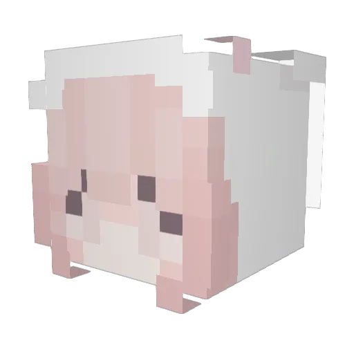 ravekittty Minecraft avatar head, 3D render