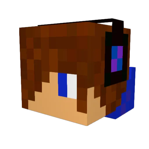 raven1_pro_YT Minecraft avatar head, 3D render