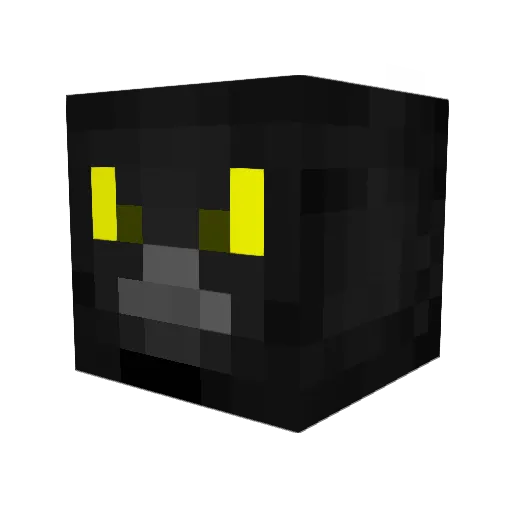 raven2k18 Minecraft avatar head, 3D render