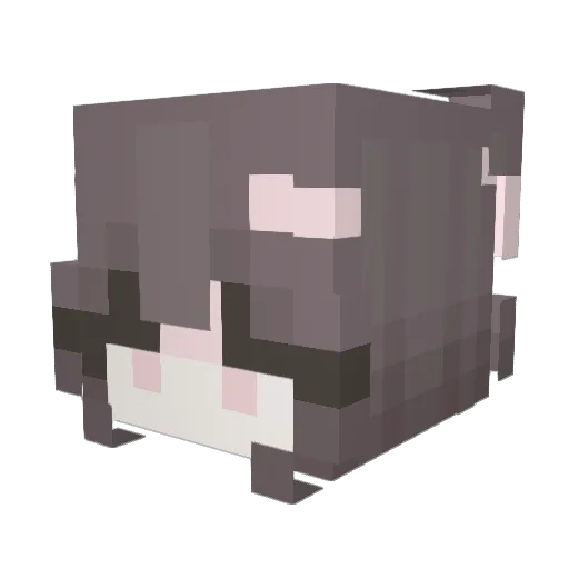 ravengards Minecraft avatar head, 3D render