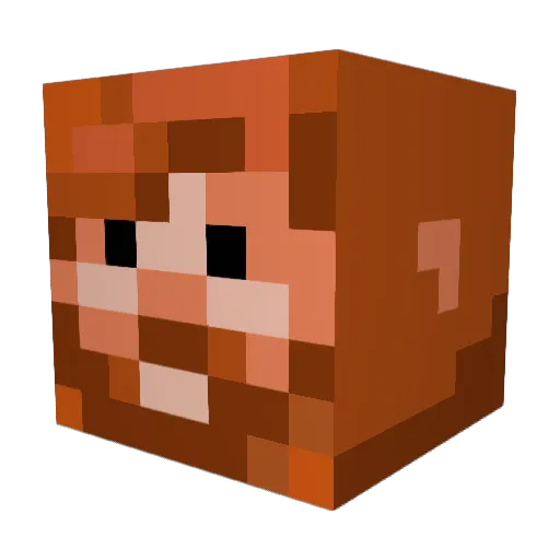 ravenjj Minecraft avatar head, 3D render