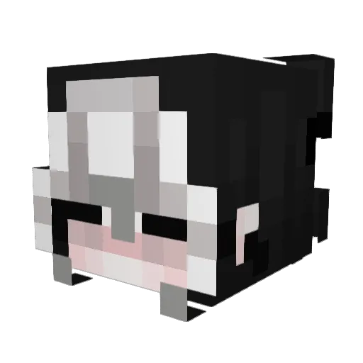 ravensapphire Minecraft avatar head, 3D render