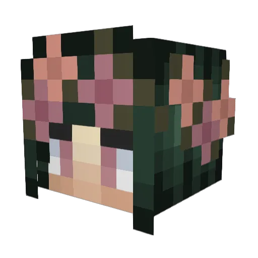 ravensenpai Minecraft avatar head, 3D render