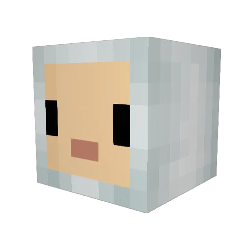 ravenstar93 Minecraft avatar head, 3D render