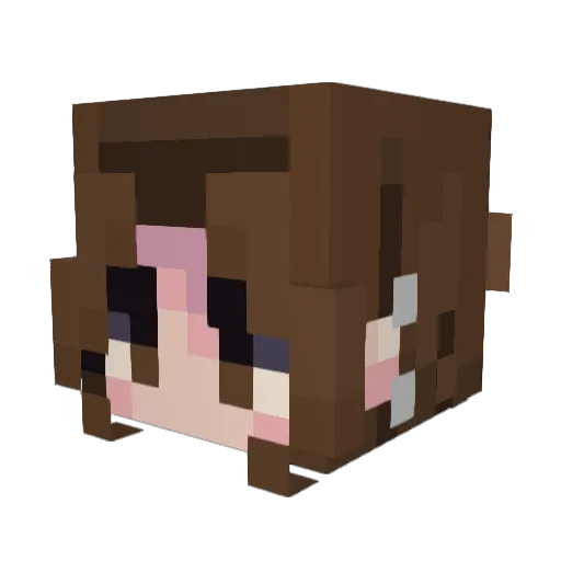 ravenwizard5 Minecraft avatar head, 3D render