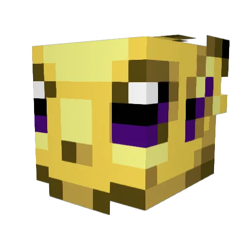 raverobber Minecraft avatar head, 3D render