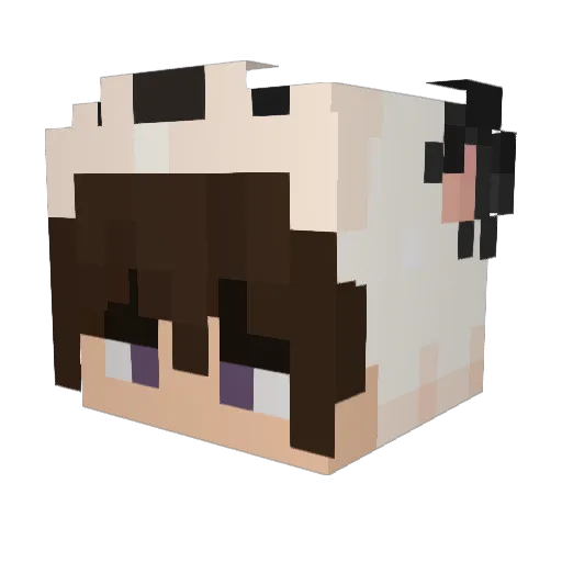 ravimeli Minecraft avatar head, 3D render