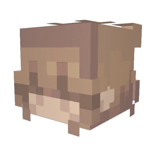ravimonoli Minecraft avatar head, 3D render
