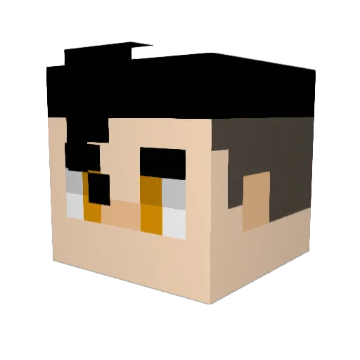 ravo241 Minecraft avatar head, 3D render