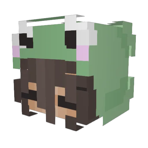 ravxnnx Minecraft avatar head, 3D render