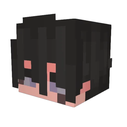 raw8813 Minecraft avatar head, 3D render