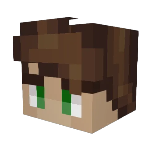raw_bee Minecraft avatar head, 3D render