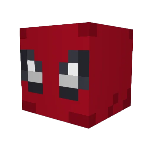 raw_like_sushi Minecraft avatar head, 3D render