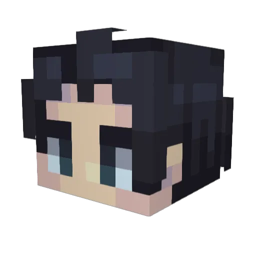 rawade Minecraft avatar head, 3D render